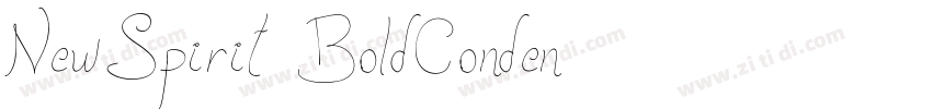 NewSpirit BoldConden字体转换